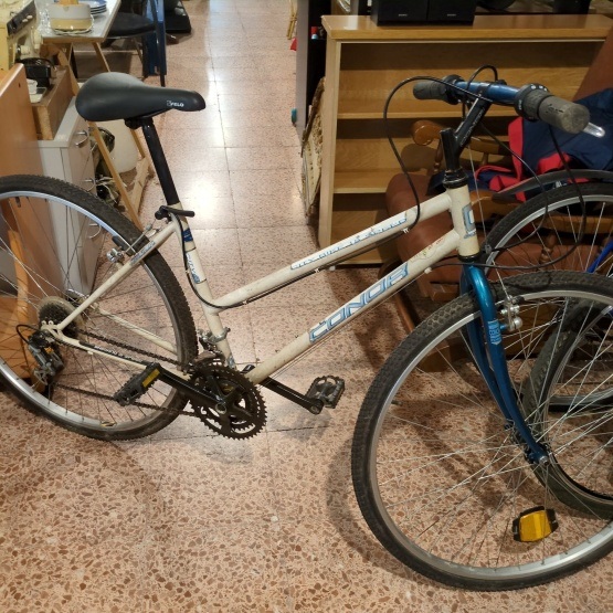 Bici Conor